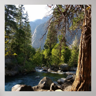Poster with stream, forest and mountains