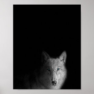 Poster Wolf, black and white, modern photography