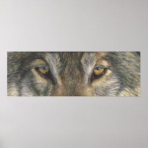 Poster Wolf Eyes