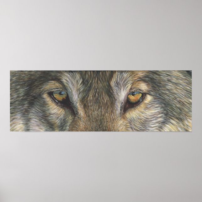 Poster Wolf Eyes (Devant)