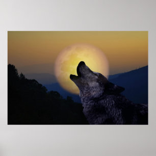 Poster Wolf hurle sur la lune