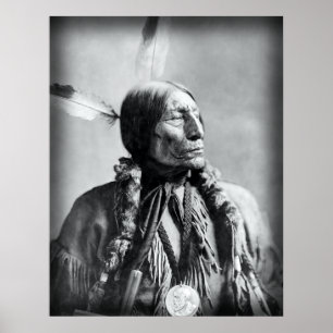 Poster Wolf Robe - Chef de la Cheyenne 1904