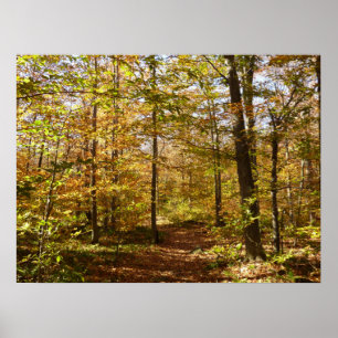 Poster Wolf Rocks Trail en automne Pennsylvanie Paysage