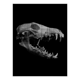 Poster Wolf skull