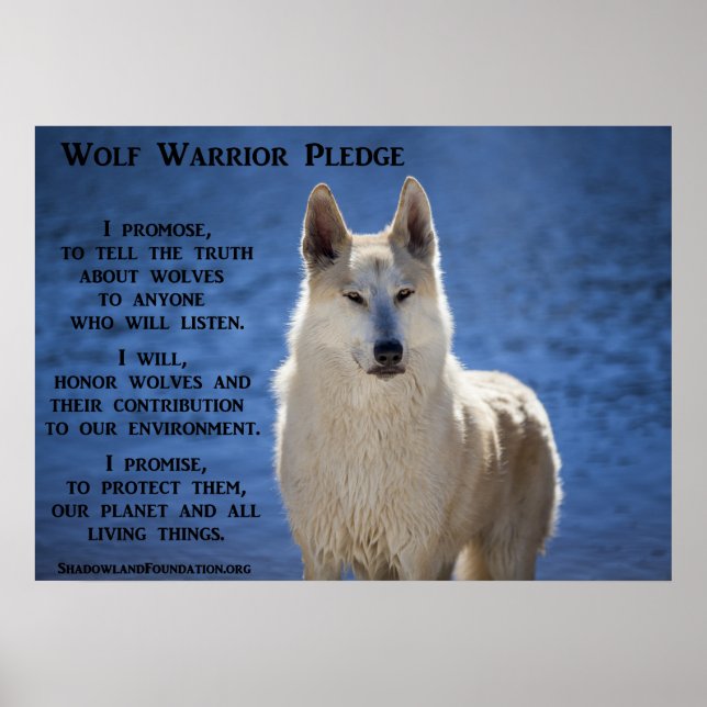 Poster Wolf Warrior (Devant)