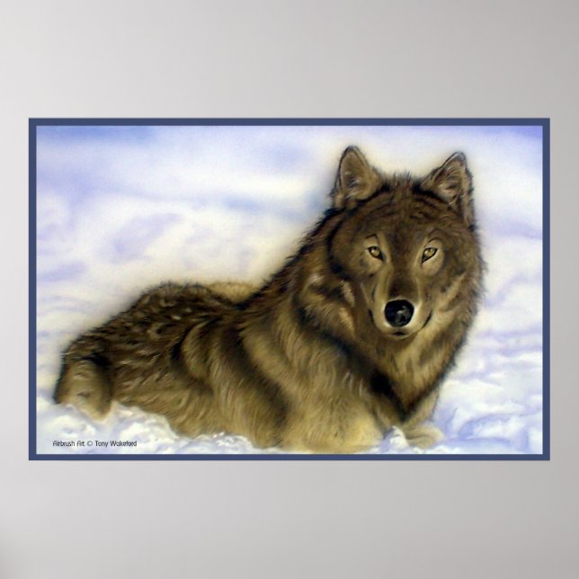 Poster Wolf Winterter (Devant)