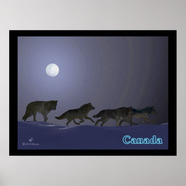 Poster Wolfpack (Devant)