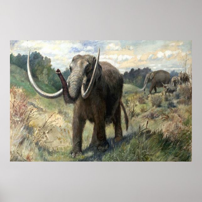 Poster Wolly Mammoth (Devant)