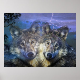 Poster Wolves in the night