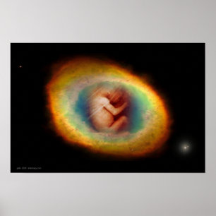 Poster Womb by Gregory Gallo
