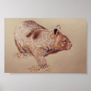 Poster Wombat