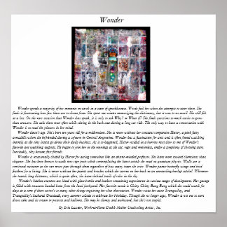Poster Wonder