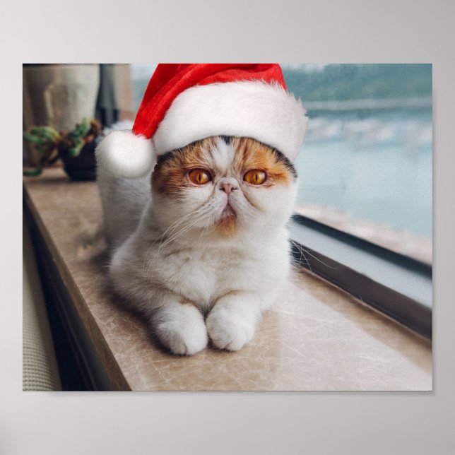 Poster Wonderful persian cat with Santa Claus (Devant)