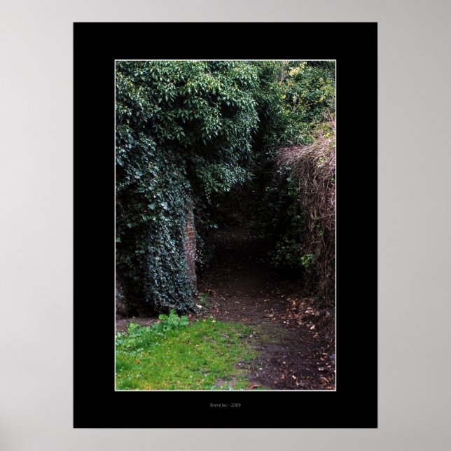 Poster WONDERLAND (Devant)