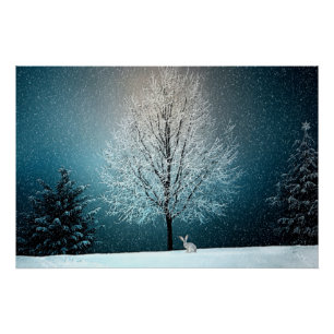 Poster Wonderland d'hiver avec lapin