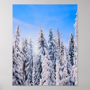 Poster Wonderland Pine Trees en Neige
