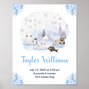 Poster Wonderland Winter Statistiques de naissance des an