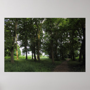 Poster Wood, Bute Park Cardiff