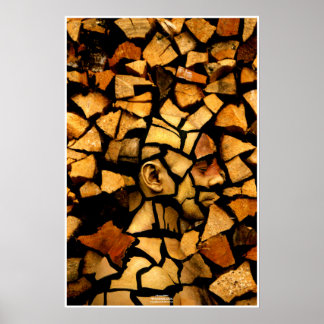 Poster Woodblock par Johannes Stötter