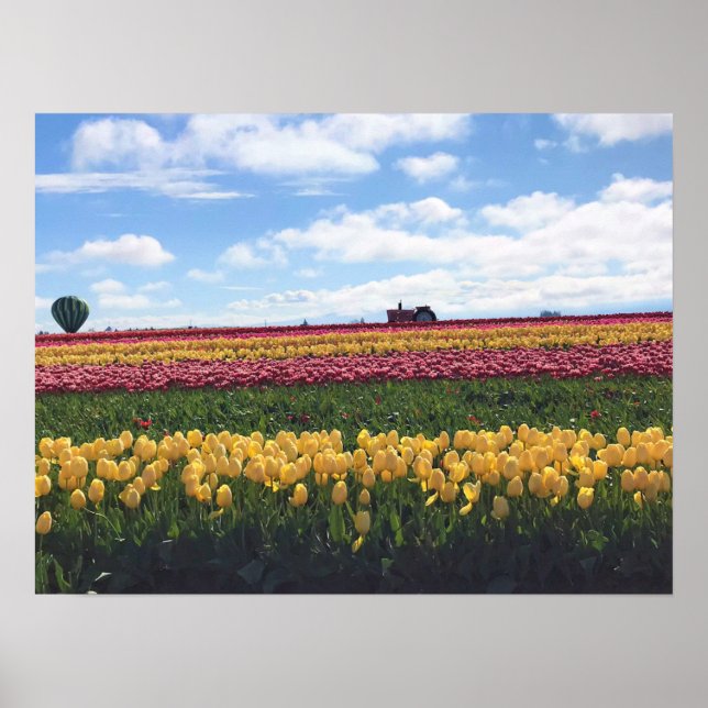 Poster Wooden Shoe Tulip Farm, Woodburn, Oregon (Devant)