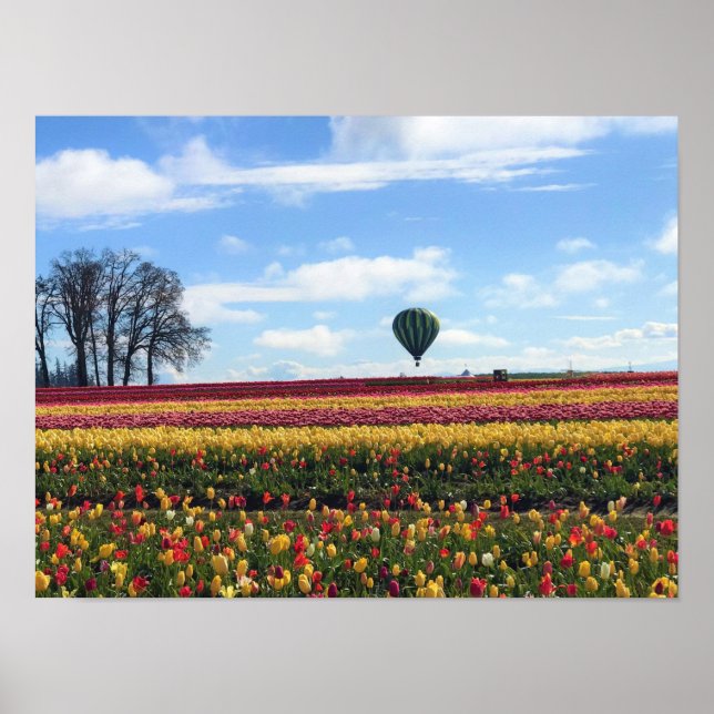 Poster Wooden Shoe Tulip Farm, Woodburn, Oregon (Devant)