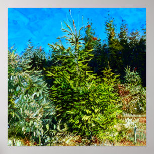 POSTER WOODLAND