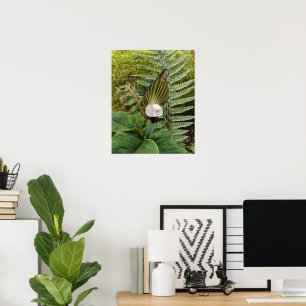 Poster Woodland Plants Botanic Photographic