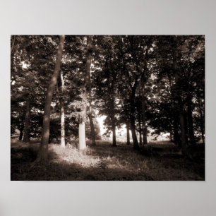 Poster Woods Bute Park, Cardiff II