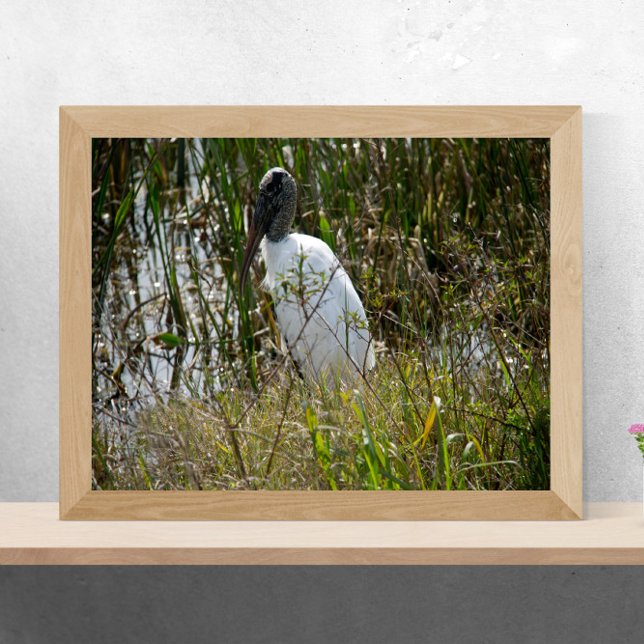 Poster Woodstork à Viera Wetlands en Floride Photo (A poster of a wood stork enjoying some time in a marsh in Florida on a sunny day)
