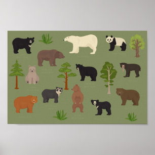 Poster World Bears