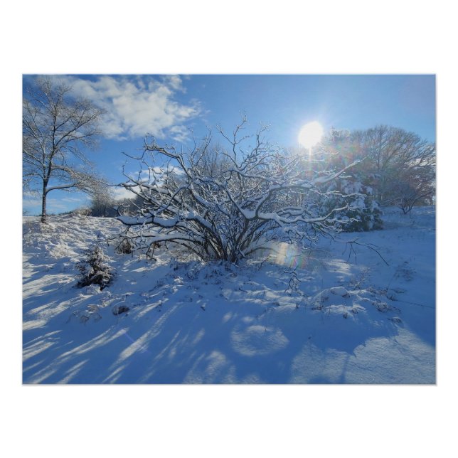 Poster Wow is the Winter of Artist Content (Devant)