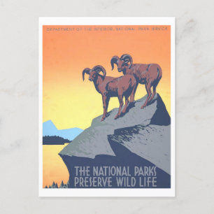Poster WPA vintage : Carte postale Wild Life