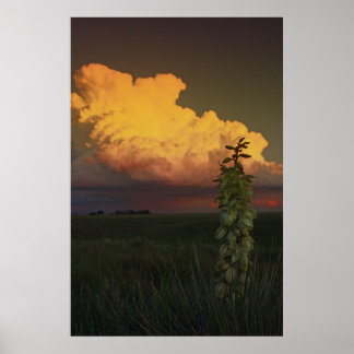 Poster Wyoming