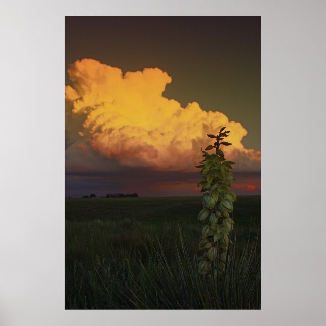 Poster Wyoming (Devant)