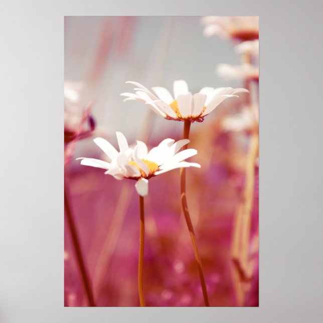 Poster x-posé 03 (Devant)