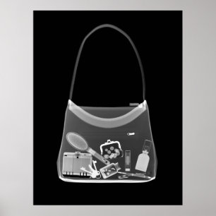 POSTER - X RAY PURSE BLACK GRAY