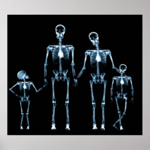 POSTER - X RAY SKELETON FAMILLE BLACK BLUE FAMILLE