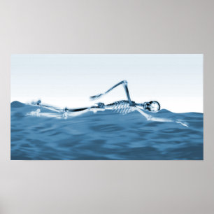 Poster X-Ray Squelette nager dans le lac Bleu