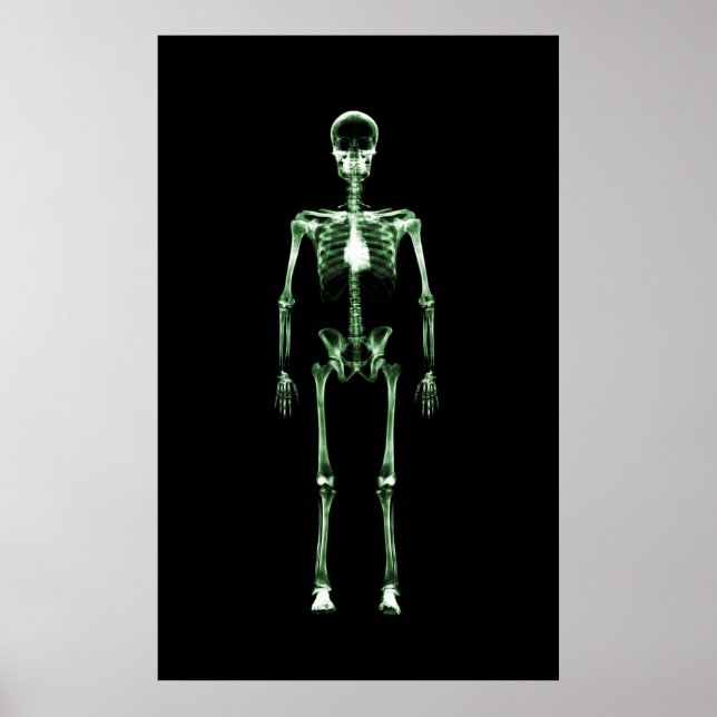 Poster - X-Ray Vision Single Skeleton Black Green (Devant)
