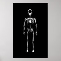 Poster - X-Ray Vision Single Skeleton Black White