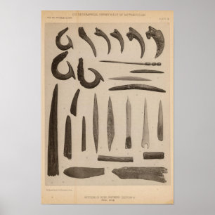Poster XI articles d'os, la Californie du sud