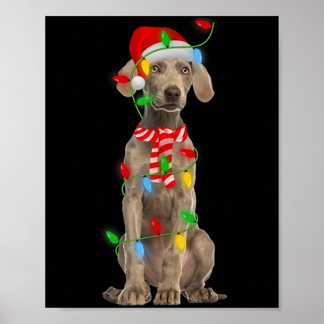 Poster Xmas Lighting Holiday Santa Weimaraner Dog Christm (Devant)