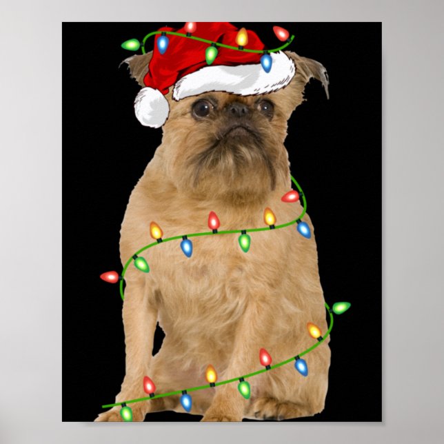 Poster Xmas Lights Santa Hat Brussels Griffon Dog Christm (Devant)