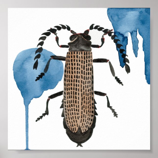 Poster Xylobanus japonais (Devant)