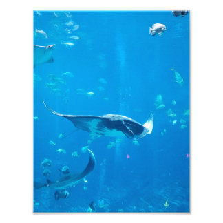Poster #Y020 de petite taille/moyenne sur la photo