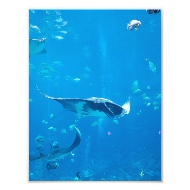 Poster #Y020 de petite taille/moyenne sur la photo (Devant)