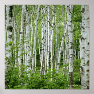 Poster Yakumo-mura, Préfecture de Nagano, Honshu Central