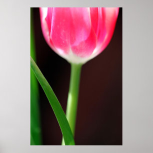 Poster Yearning