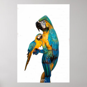Poster Yellow Ara par Johannes Stötter