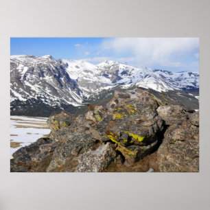Poster Yellow-Bellied Marmot Gazing at Rocky Mountains
